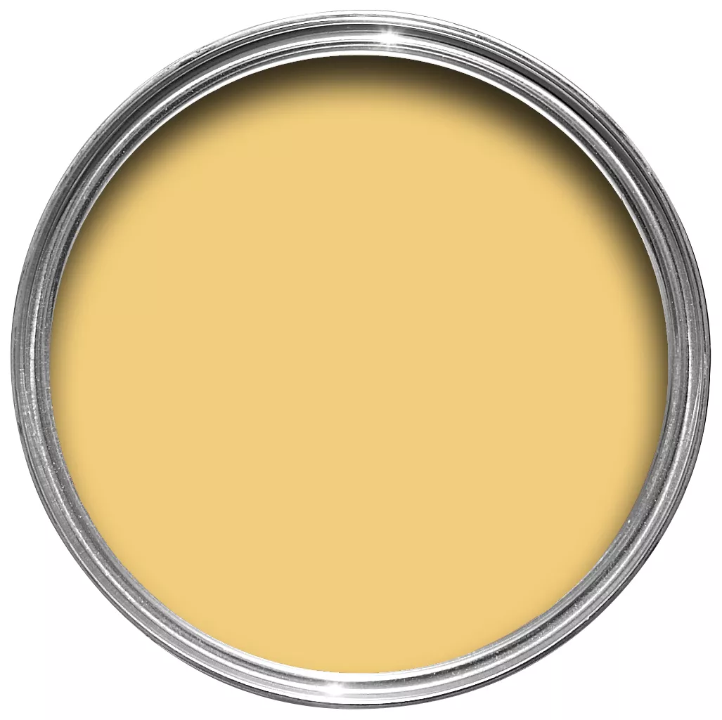 Farrow & Ball Estate Citron No.74 Matt Emulsion Paint, 2.5L 5 Farrow & Ball Estate Citron No.74 Matt Emulsion Paint, 2.5L - Image 3