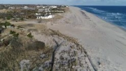 Farrow & Ball Estate Jitney No.293 Matt Emulsion Paint, 2.5L -Farrow & Ball farrow ball estate jitney no 293 matt emulsion paint 2 5l5029496759372 lcl en