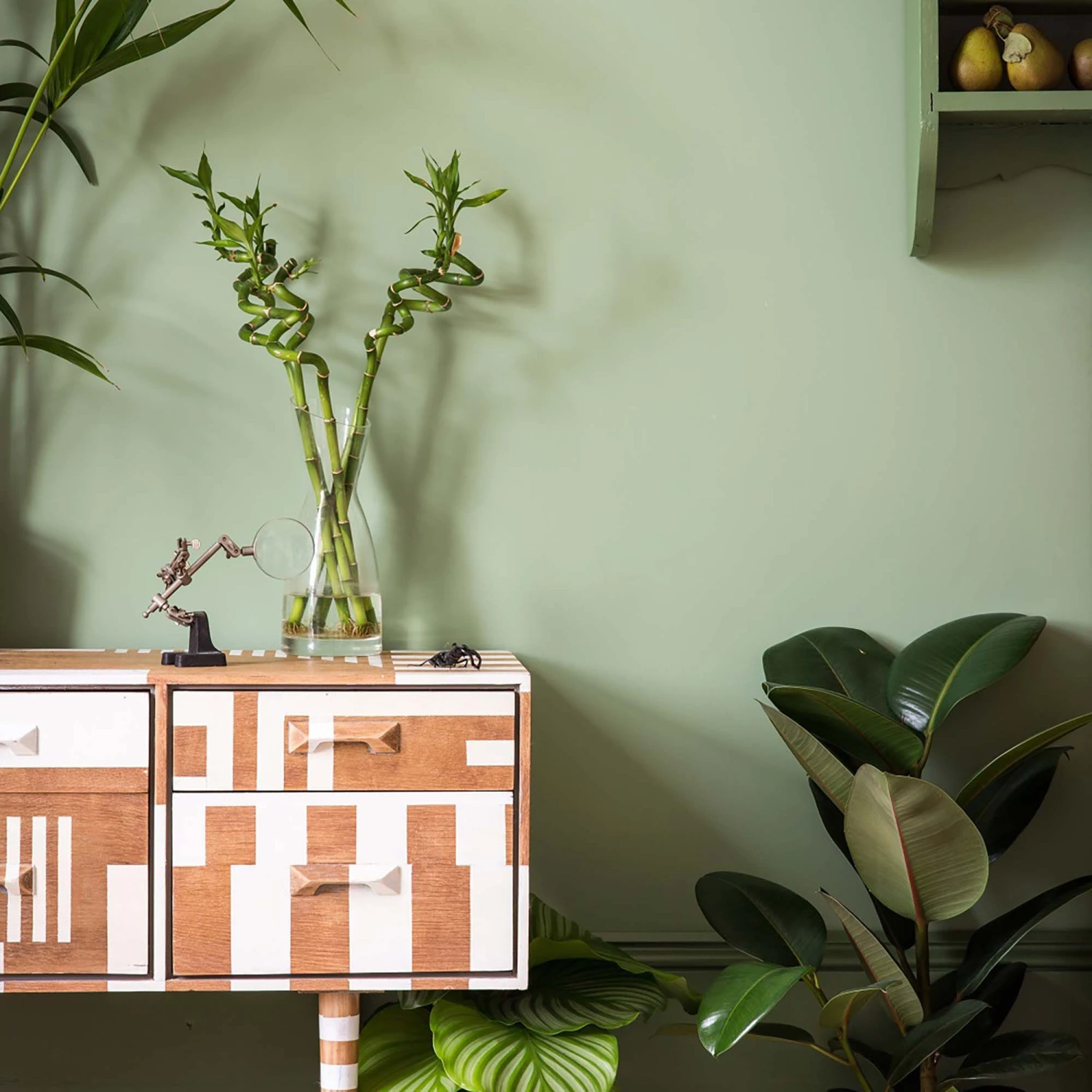 Farrow & Ball Modern Breakfast Room Green No.81 Matt Emulsion Paint, 2.5L 6 Farrow & Ball Modern Breakfast Room Green No.81 Matt Emulsion Paint, 2.5L - Image 4