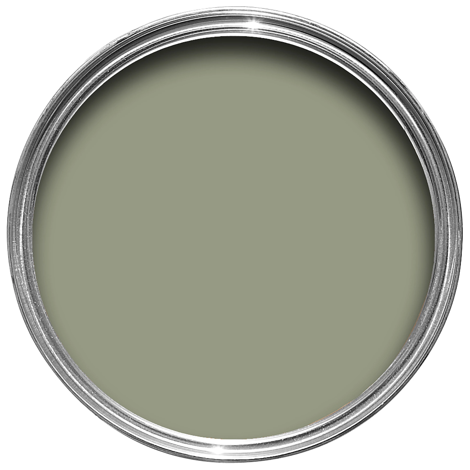 Farrow & Ball Modern Lichen No.19 Eggshell Paint, 750ml 4 Farrow & Ball Modern Lichen No.19 Eggshell Paint, 750ml - Image 3