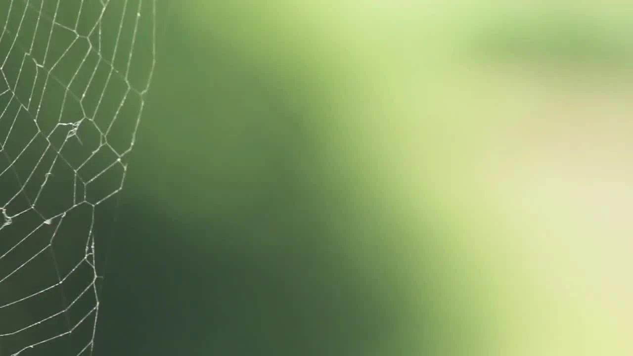 Farrow & Ball Modern Wevet No.273 Matt Emulsion Paint, 2.5L 4 Farrow & Ball Modern Wevet No.273 Matt Emulsion Paint, 2.5L - Image 2